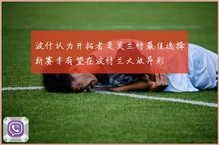 波什认为开拓者是莫兰特最佳选择新赛季有望在波特兰大放异彩